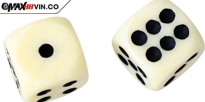 Hướng Dẫn Cách Chơi Xóc Đĩa Max88 Cho Người Mới Bắt Đầu 3 Các loại cửa trong cách chơi xóc đĩa Max88