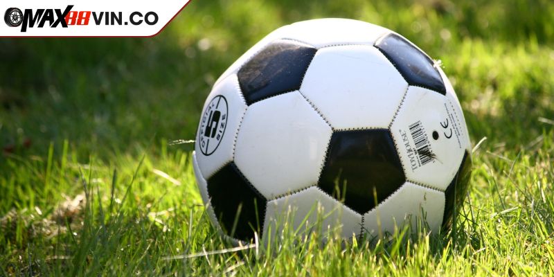 Kèo Chấp Đồng Banh 1/4 MAX88 Và Chiến Thuật Chơi Hiệu Quả 4 Chú ý tìm hiểu biến động kèo cược