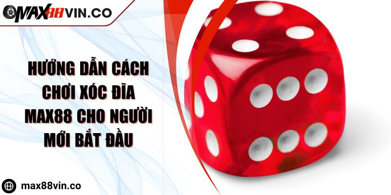 Hướng Dẫn Cách Chơi Xóc Đĩa Max88 Cho Người Mới Bắt Đầu 1 Hướng Dẫn Cách Chơi Xóc Đĩa Max88 Cho Người Mới Bắt Đầu