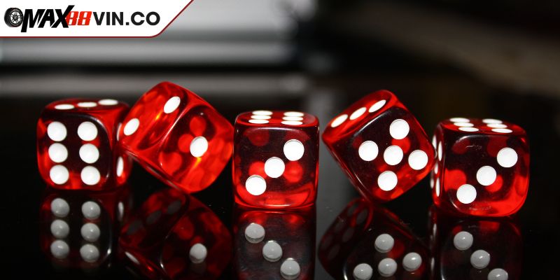 Trải Nghiệm Tài Xỉu Livestream MAX88 Hiện Đại Và Cơ Hội Thắng Lớn 3 Hướng dẫn người mới gia nhập cách chơi tài xỉu livestream dành